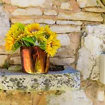 Moira By Interhome Villa Umag