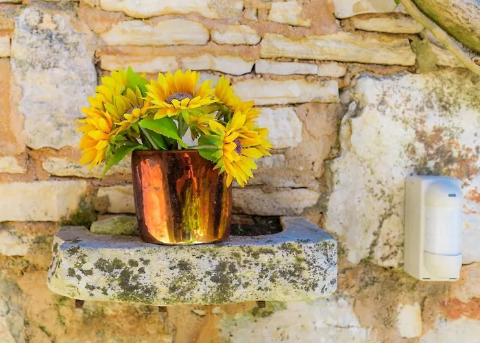 Moira By Interhome Villa Umag